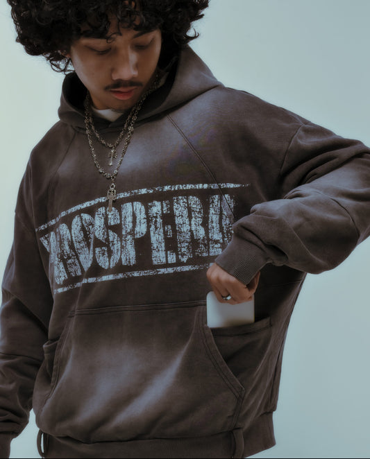 Prospera Anniversary Grey Sweatshirt